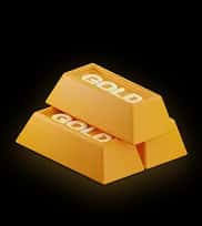 Gold Loans